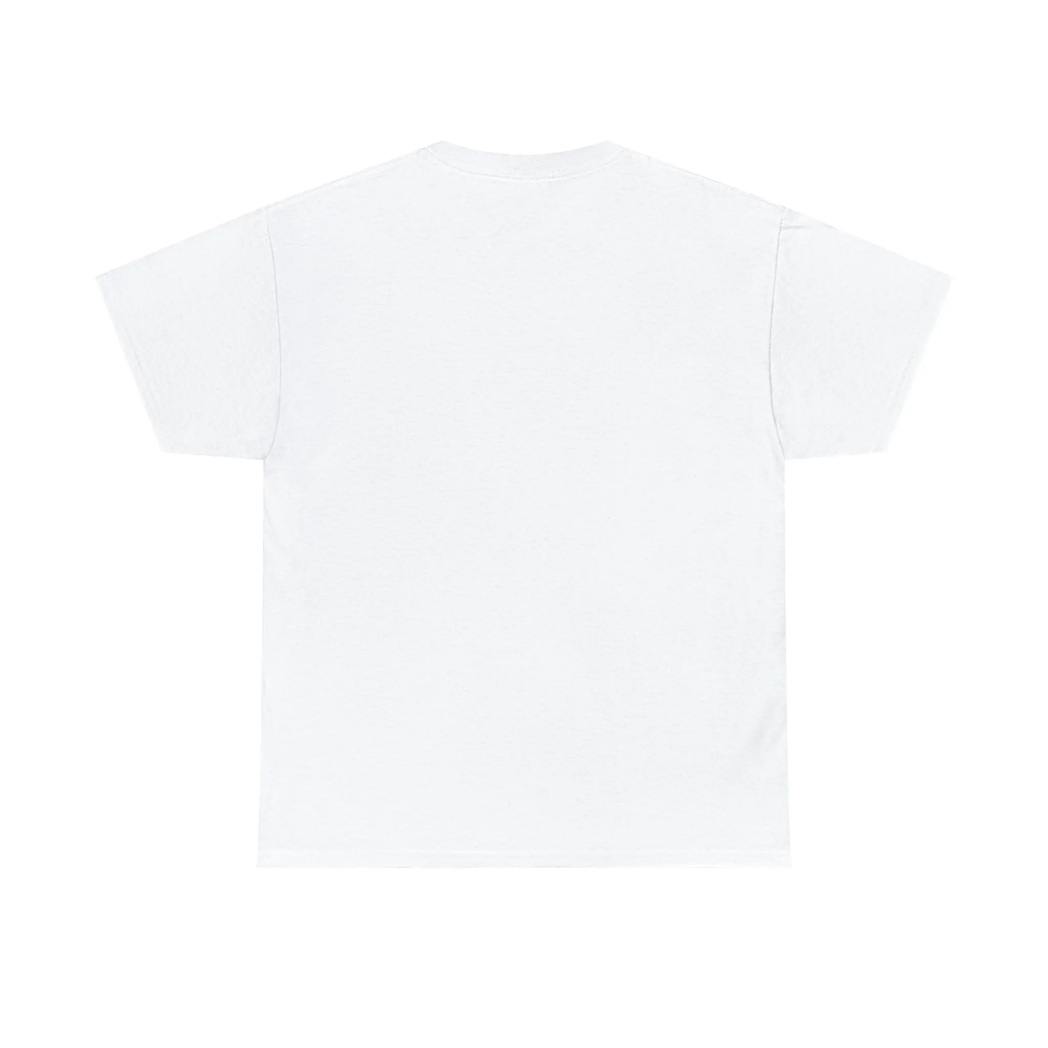 B3 Unisex Heavy Cotton Tee