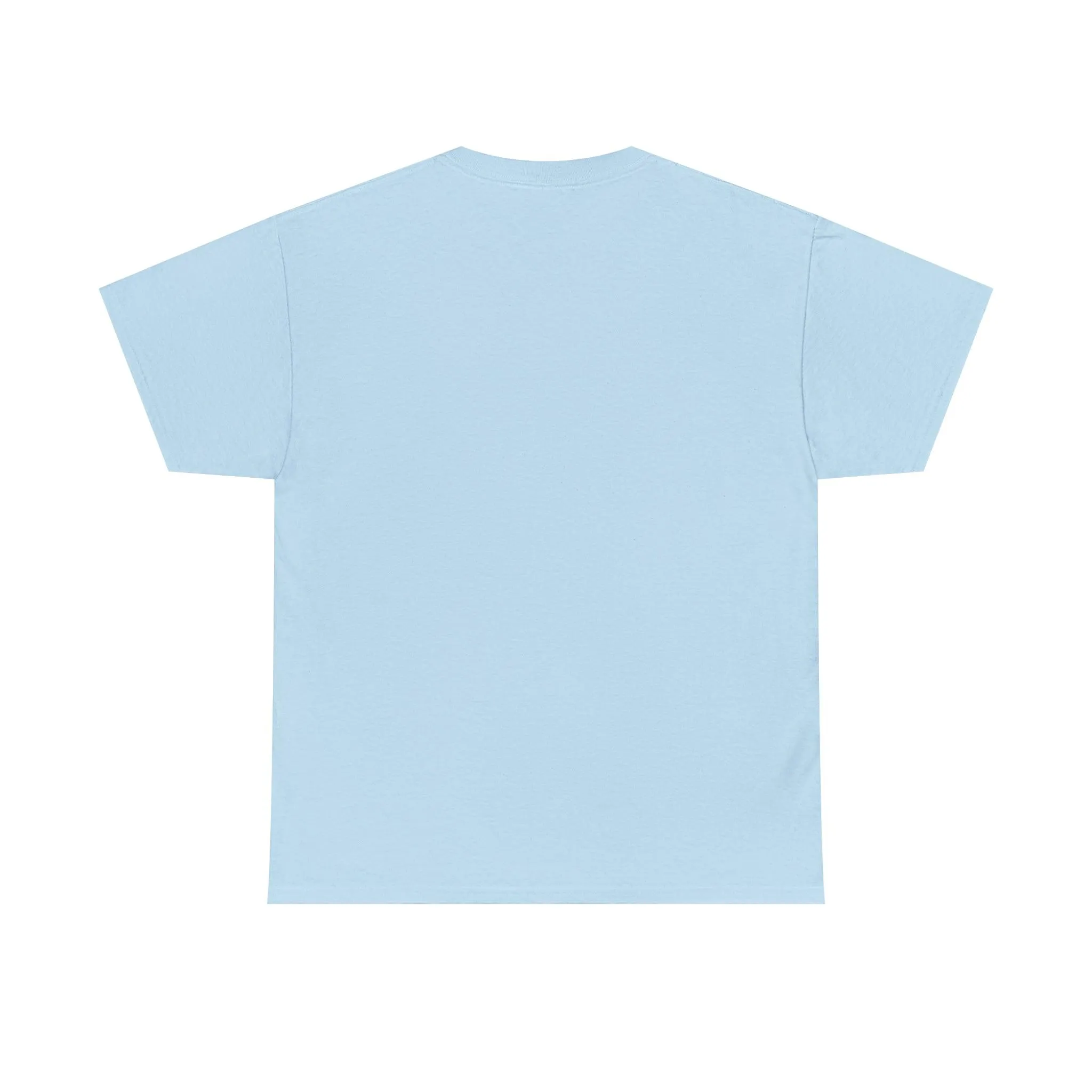 B3 Unisex Heavy Cotton Tee