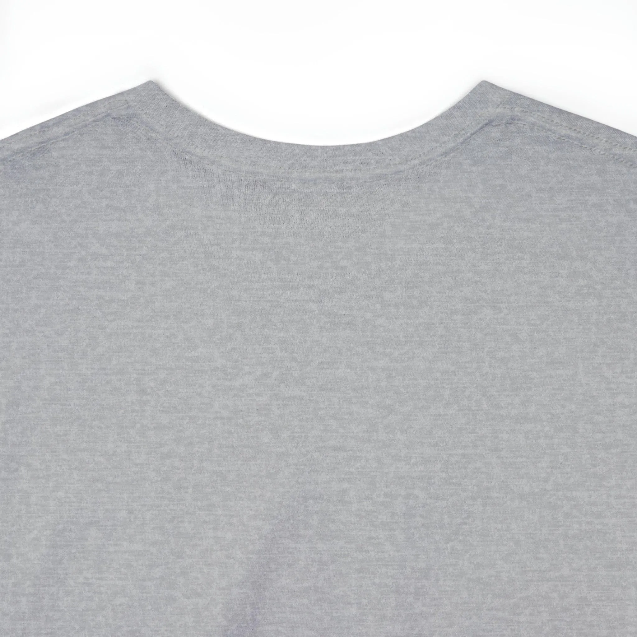 B3 Unisex Heavy Cotton Tee