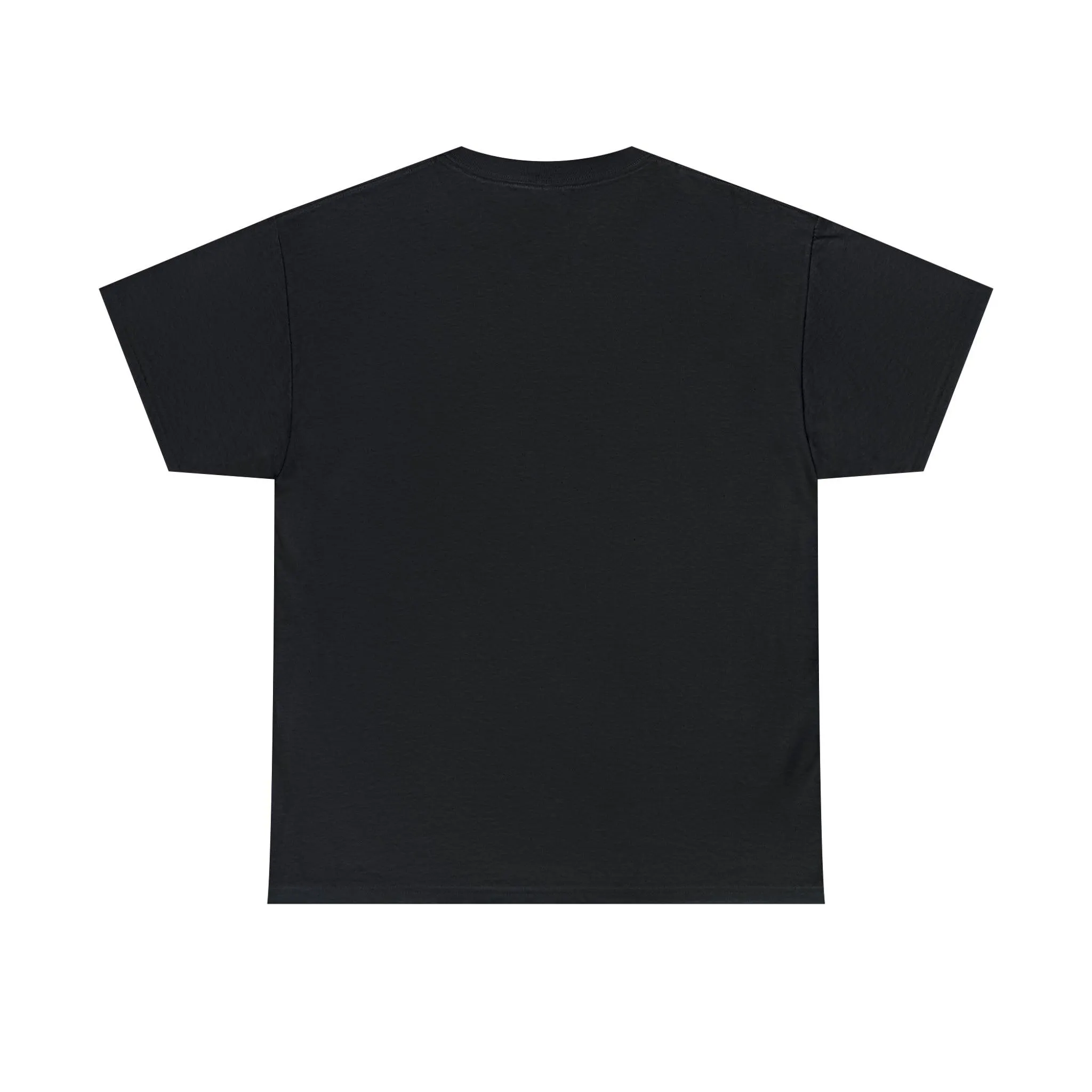 B3 Unisex Heavy Cotton Tee