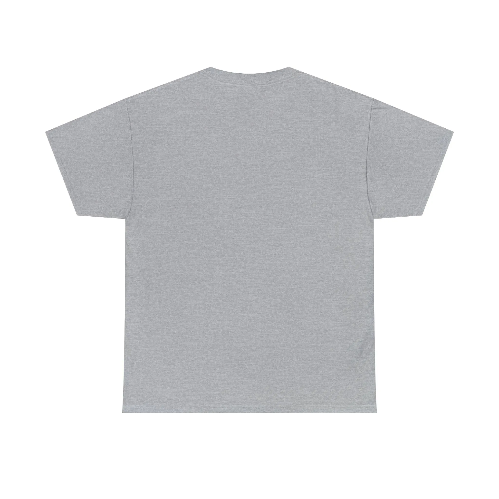 B3 Unisex Heavy Cotton Tee