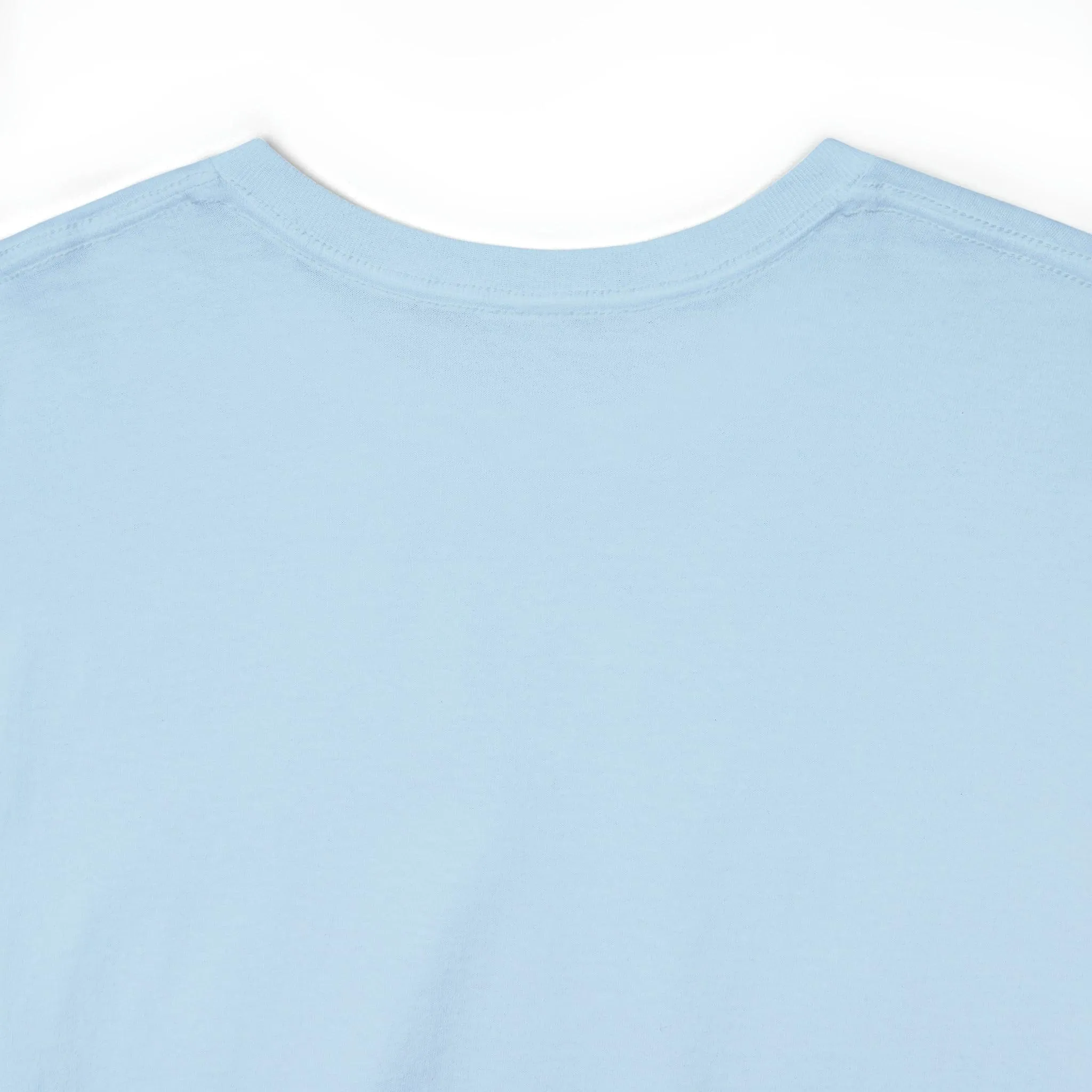 B3 Unisex Heavy Cotton Tee