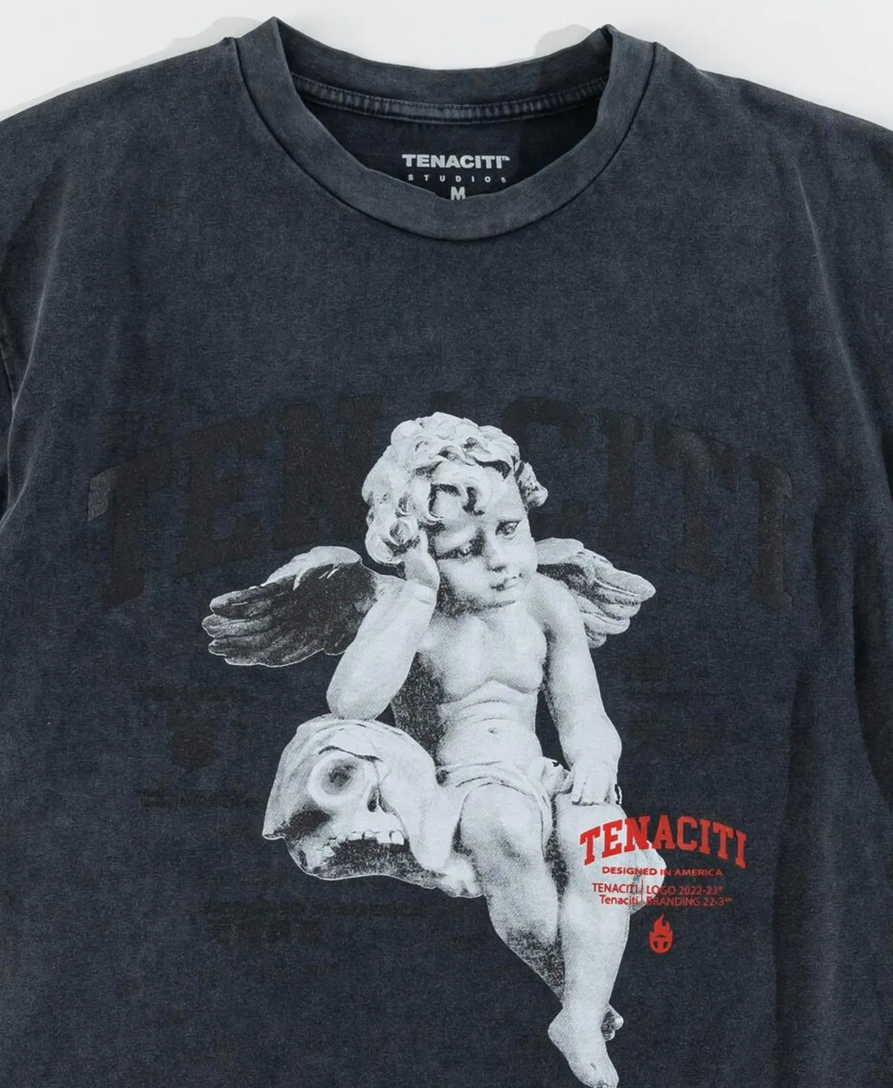 Tenaciti Angel wing Tee VINTAGE grey