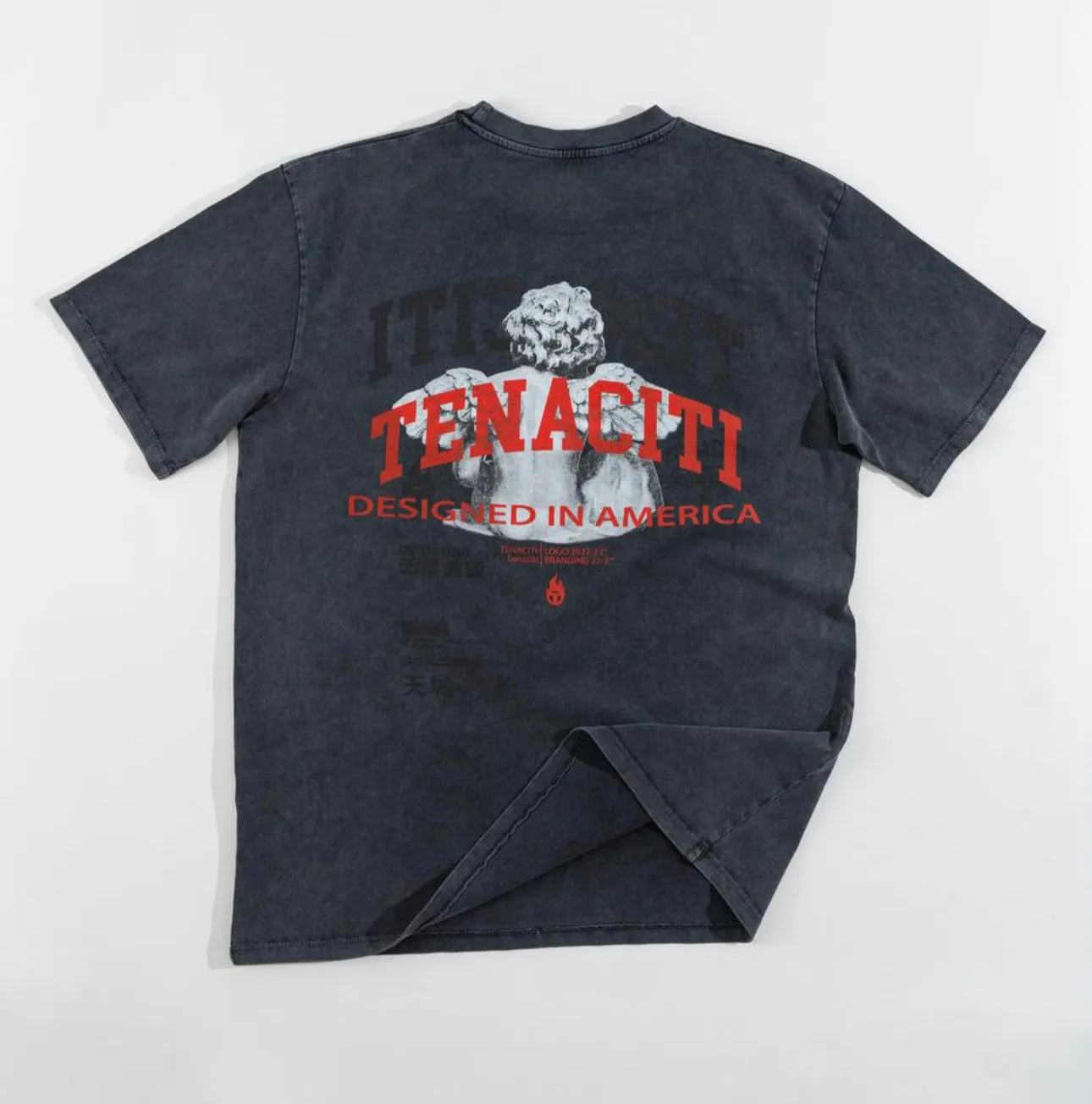 Tenaciti Angel wing Tee VINTAGE grey